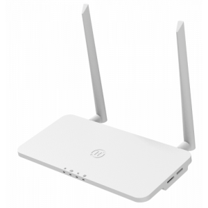 Hoymiles HMS/HMT - series monitoring DTU Pro-S